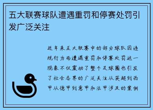 五大联赛球队遭遇重罚和停赛处罚引发广泛关注 