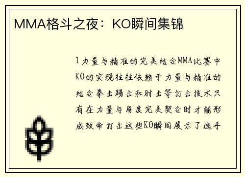 MMA格斗之夜：KO瞬间集锦